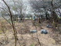 IMG_20230401_091727