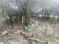 IMG_20230401_093036