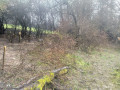 IMG_20230401_093040