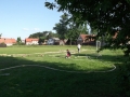 DSCF0111