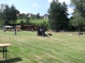 DSCF0638