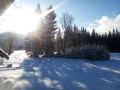 IMG_20190312_072535