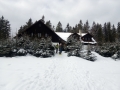 IMG_20190312_123704