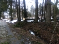 IMG_20190316_124543