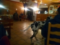 IMG_20151125_195855