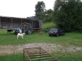 DSCF0724