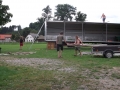 DSCF0739