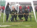 Snímek 031