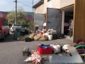 dscf3248.jpg
