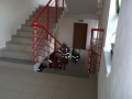 DSCF1296