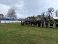 IMG_20220430_140244