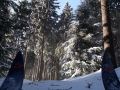 DSCF3723