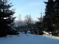 DSCF3729