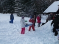 DSCF3731