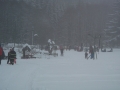 DSCF3764