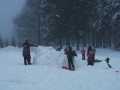 DSCF3772