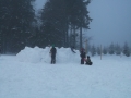 DSCF3773
