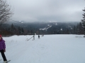 DSCF3785